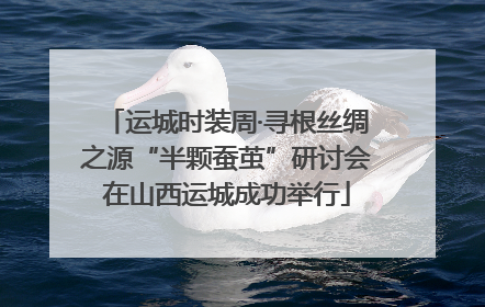 运城时装周·寻根丝绸之源“半颗蚕茧”研讨会在山西运城成功举行