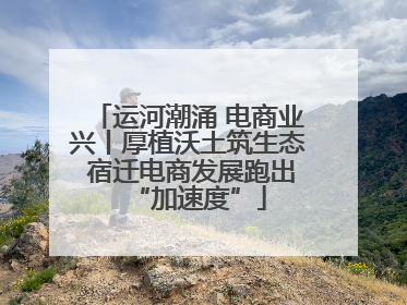 运河潮涌 电商业兴丨厚植沃土筑生态 宿迁电商发展跑出“加速度”