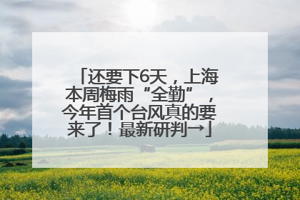 还要下6天，上海本周梅雨“全勤”，今年首个台风真的要来了！最新研判→