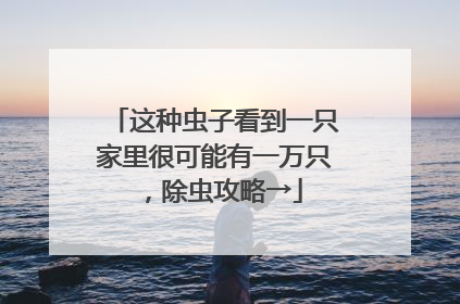 这种虫子看到一只家里很可能有一万只，除虫攻略→