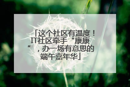 这个社区有温度！IT社区牵手“康康”，办一场有意思的端午嘉年华