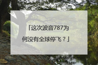 这次波音787为何没有全球停飞？