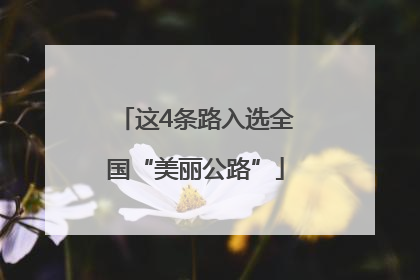 这4条路入选全国“美丽公路”