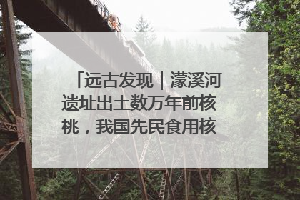 远古发现｜濛溪河遗址出土数万年前核桃，我国先民食用核桃历史大幅提前