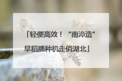轻便高效！“南漳造”旱稻播种机走俏湖北
