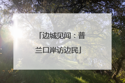 边城见闻：普兰口岸访边民