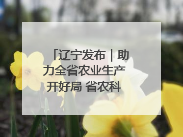 辽宁发布｜助力全省农业生产开好局 省农科院科技服务春耕备耕成效显著