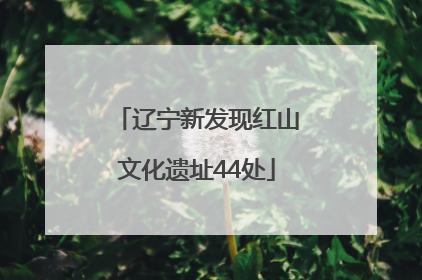 辽宁新发现红山文化遗址44处