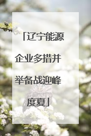 辽宁能源企业多措并举备战迎峰度夏