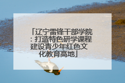 辽宁雷锋干部学院：打造特色研学课程 建设青少年红色文化教育高地