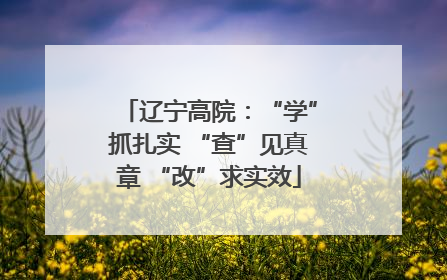 辽宁高院：“学”抓扎实 “查”见真章 “改”求实效