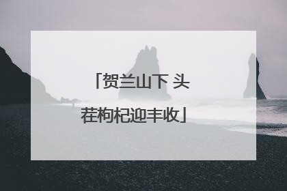 贺兰山下 头茬枸杞迎丰收