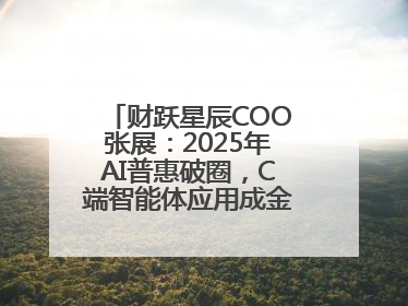 财跃星辰COO张展：2025年AI普惠破圈，C端智能体应用成金融转型关键