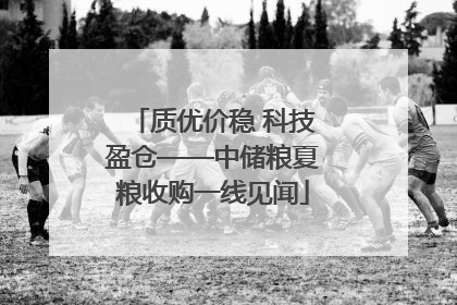 质优价稳 科技盈仓——中储粮夏粮收购一线见闻
