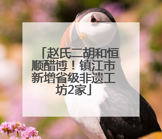 赵氏二胡和恒顺醋博！镇江市新增省级非遗工坊2家