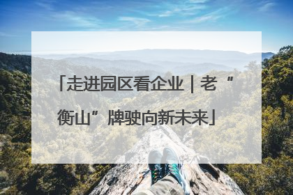 走进园区看企业｜老“衡山”牌驶向新未来
