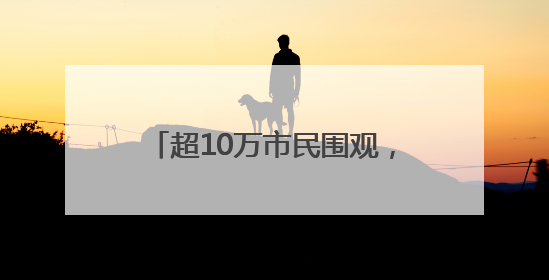 超10万市民围观，2025年广州国际龙舟邀请赛圆满举行
