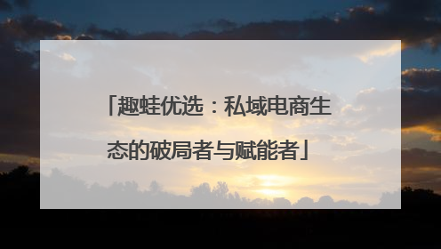 趣蛙优选：私域电商生态的破局者与赋能者