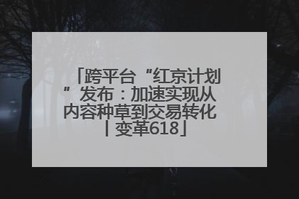 跨平台“红京计划”发布：加速实现从内容种草到交易转化丨变革618