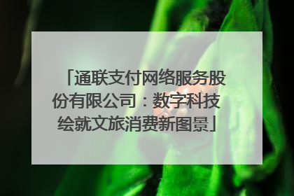 通联支付网络服务股份有限公司：数字科技绘就文旅消费新图景