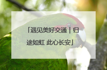 遇见美好交通｜归途如虹 此心长安