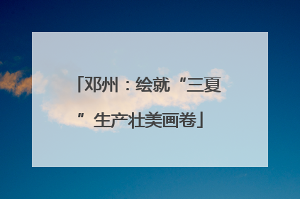 邓州：绘就“三夏”生产壮美画卷