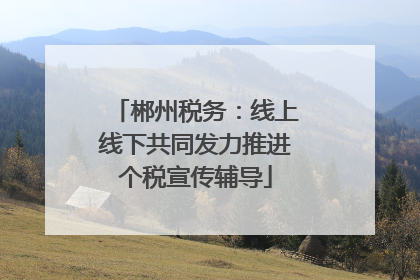 郴州税务：线上线下共同发力推进个税宣传辅导