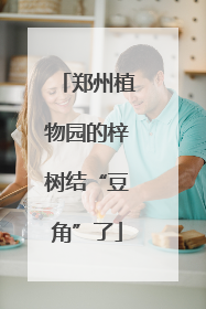 郑州植物园的梓树结“豆角”了