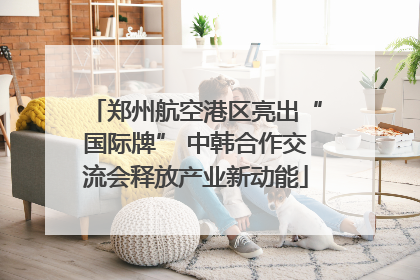 郑州航空港区亮出“国际牌” 中韩合作交流会释放产业新动能