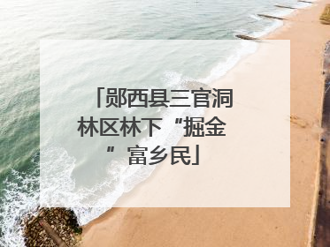 郧西县三官洞林区林下“掘金”富乡民