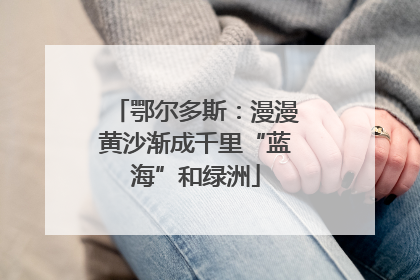 鄂尔多斯：漫漫黄沙渐成千里“蓝海”和绿洲