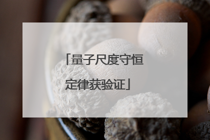 量子尺度守恒定律获验证