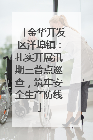 金华开发区洋埠镇：扎实开展汛期三普点巡查，筑牢安全生产防线