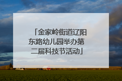 金家岭街道辽阳东路幼儿园举办第二届科技节活动