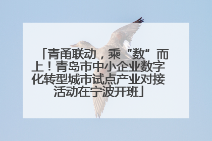 青甬联动，乘“数”而上！青岛市中小企业数字化转型城市试点产业对接活动在宁波开班