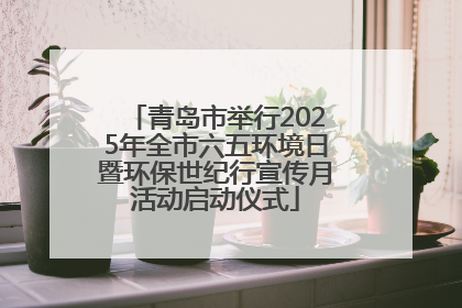 青岛市举行2025年全市六五环境日暨环保世纪行宣传月活动启动仪式