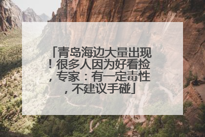 青岛海边大量出现！很多人因为好看捡，专家：有一定毒性，不建议手碰