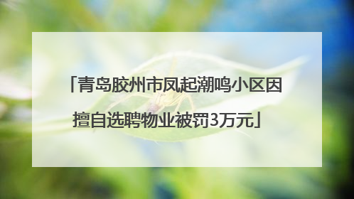 青岛胶州市凤起潮鸣小区因擅自选聘物业被罚3万元