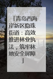 青岛西海岸新区隐珠街道：高效推进林业执法，筑牢林地安全屏障