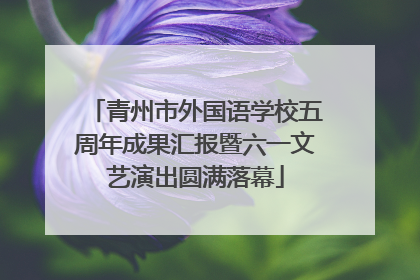 青州市外国语学校五周年成果汇报暨六一文艺演出圆满落幕