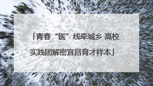 青春“医”线牵城乡 高校实践团解密宜昌育才样本