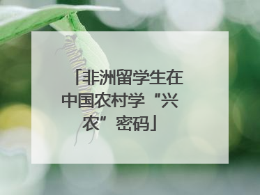 非洲留学生在中国农村学“兴农”密码