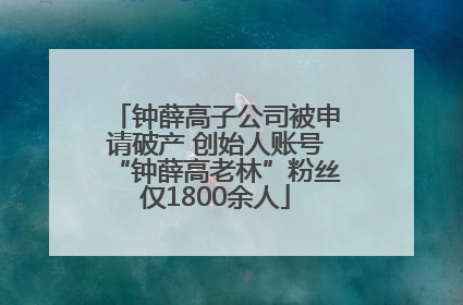 钟薛高子公司被申请破产 创始人账号“钟薛高老林”粉丝仅1800余人