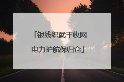 银线织就丰收网 电力护航保归仓