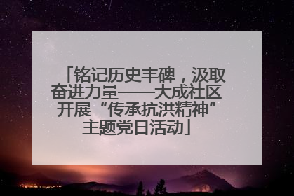 铭记历史丰碑，汲取奋进力量——大成社区开展“传承抗洪精神”主题党日活动
