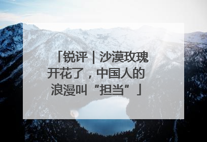 锐评｜沙漠玫瑰开花了，中国人的浪漫叫“担当”