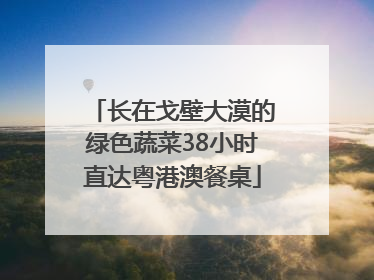 长在戈壁大漠的绿色蔬菜38小时直达粤港澳餐桌