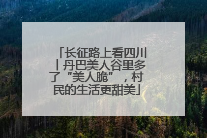 长征路上看四川丨丹巴美人谷里多了“美人脆”，村民的生活更甜美