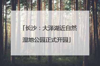 长沙：大泽湖近自然湿地公园正式开园