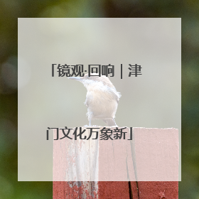 镜观·回响｜津门文化万象新